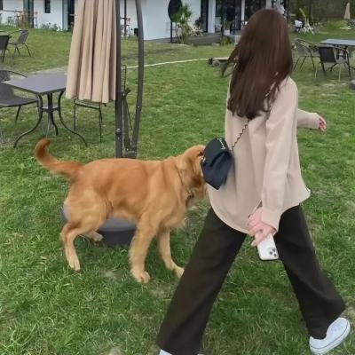 罗刹人
