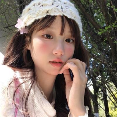 笨鸟满天飞